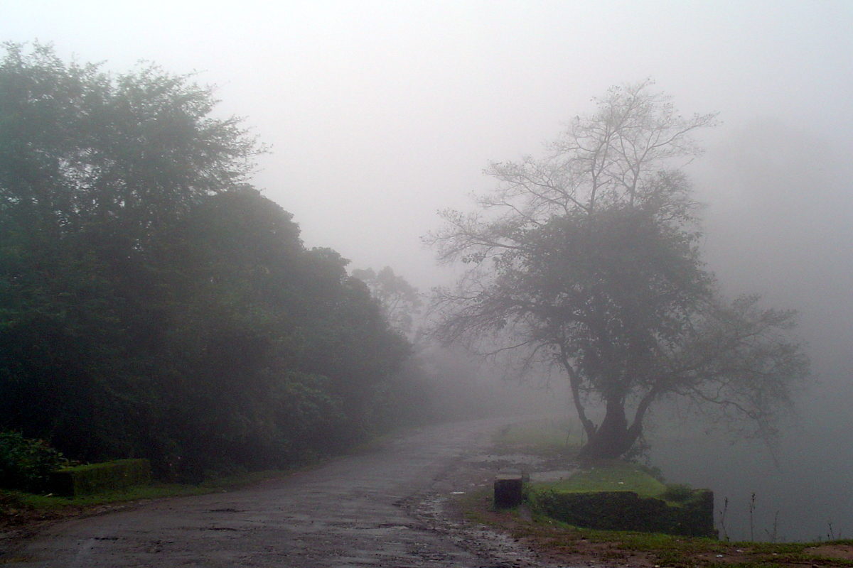 Coorg to Kannur Road