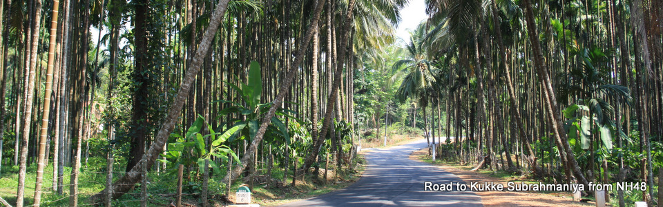 Mangalore to Kukke Subrahmaniya