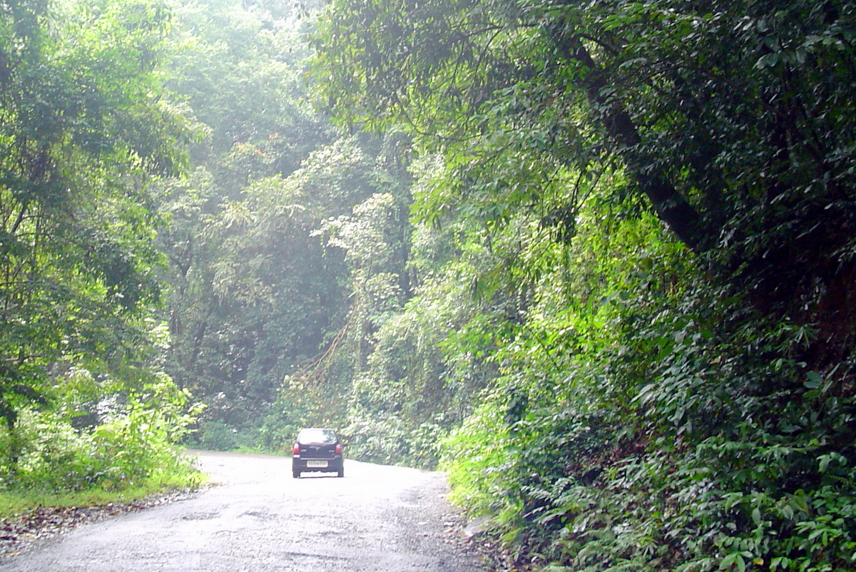 Madikeri to Kannur road passes through a thick lush forest.