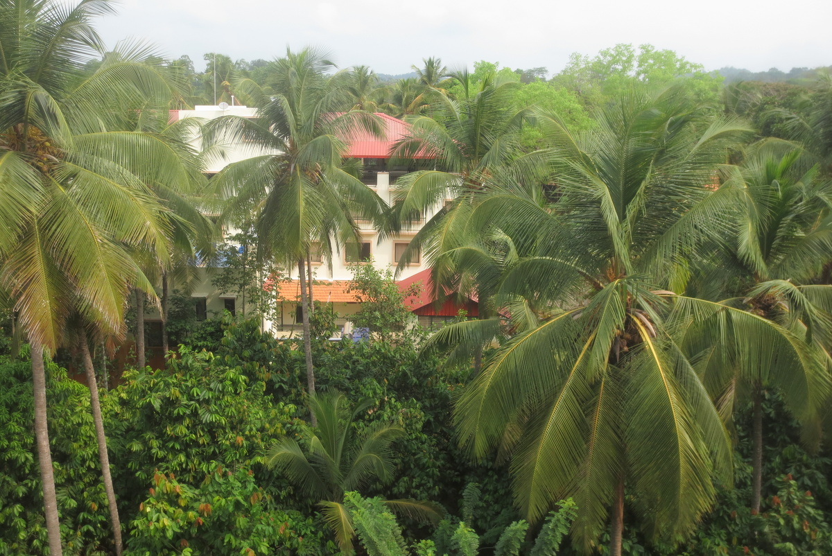 Nestled inside thick palm fringed locale in the town.  